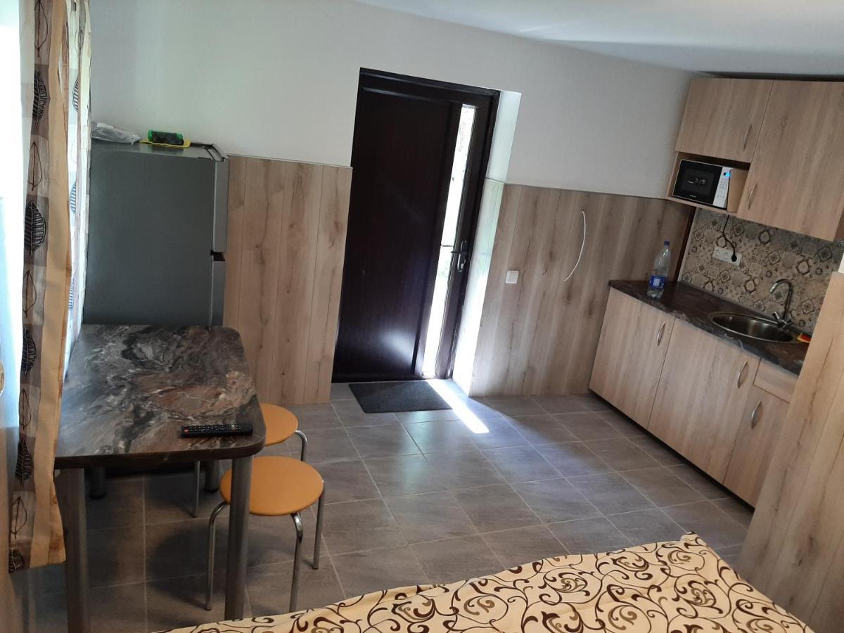Rooms For Rent Panevėžys Esterno foto